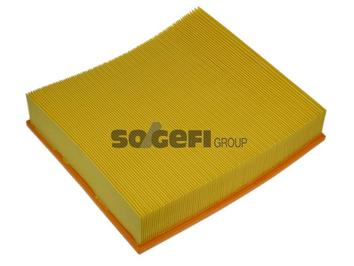 PURFA1029
